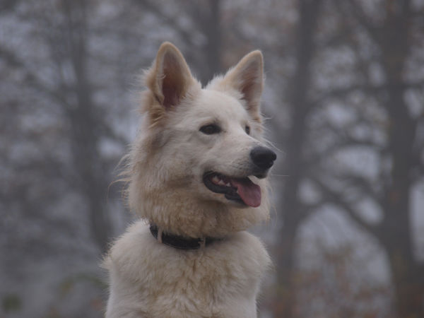 Fotos/2010vervolgJnest/Jade/nov2011/PB172872[1].JPG